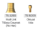 The two parts for the bridge: Multi Unit TiBase abutment (No Hex) T6 32813 and occlusal screw T6 16009.