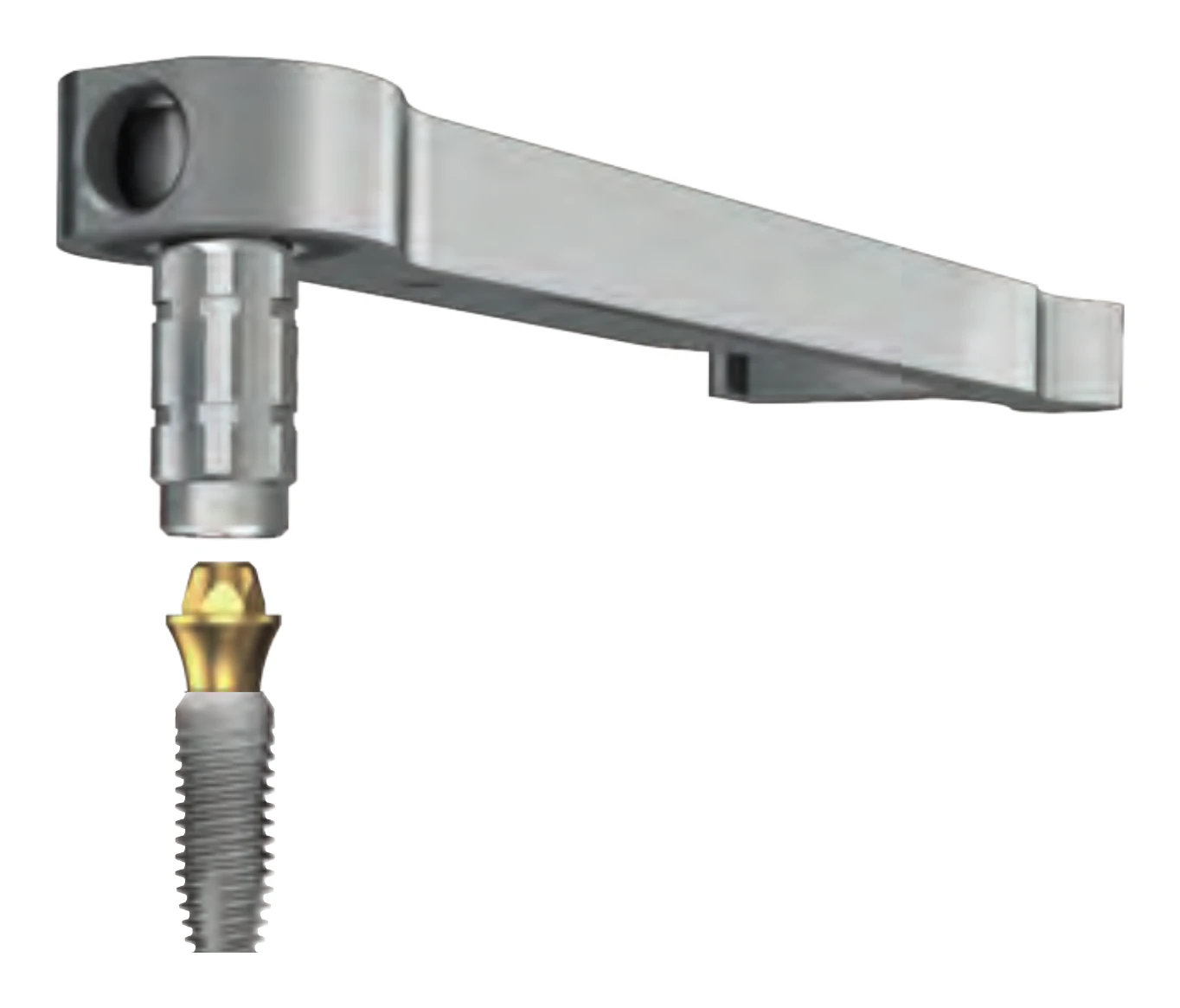Multi-unit abutment tightening part on the ratchet above a multi-unit abutment on an implant