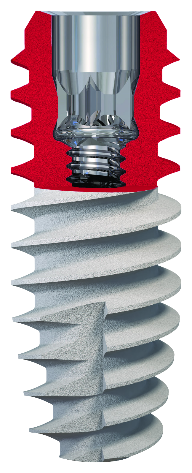 Manufacturer cutaway showing the shared T6 implant connection
